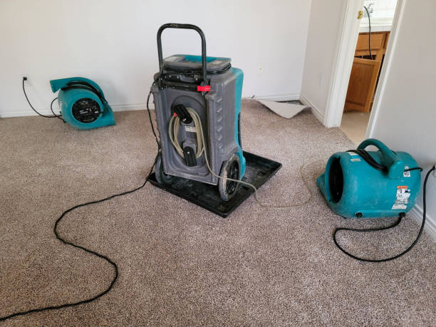 Best Water damage contractors near me  in South Carthage, TN