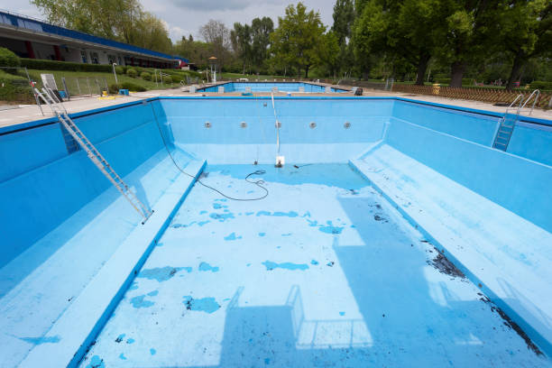 Best Flood damage cleanup  in South Carthage, TN