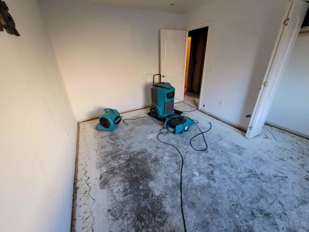 Best Water damage restoration near me  in South Carthage, TN