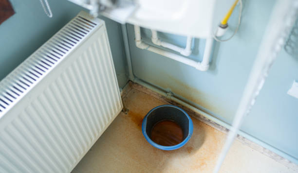 Best Water damage restoration insurance claims  in South Carthage, TN